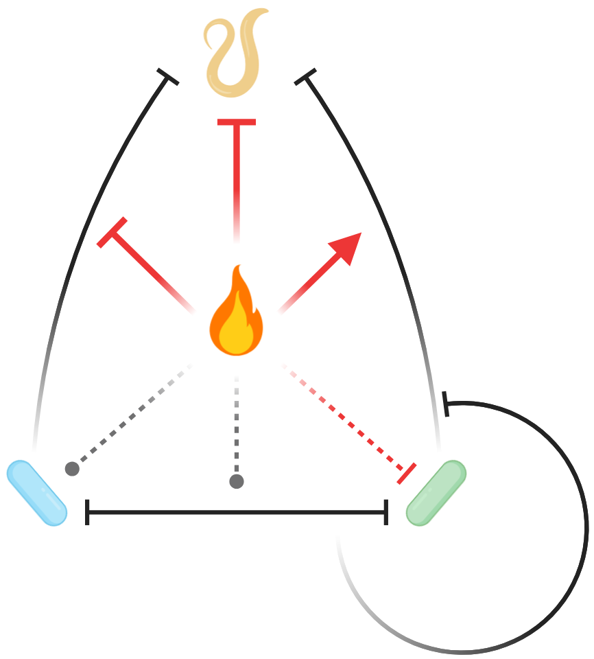 Coinfection